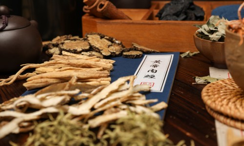 【醋山甲是啥中药】醋山甲的别名是什么 - 醋山甲的功效与作用点用网